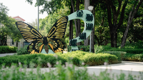 Zhongdu Wetlands Park scene picture